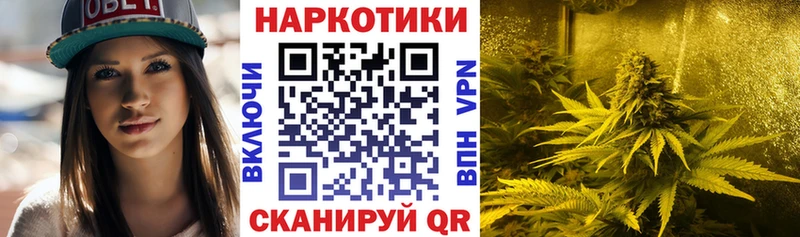 Купить закладку Alpha-PVP  Меф мяу мяу  Канабис  Барыш
