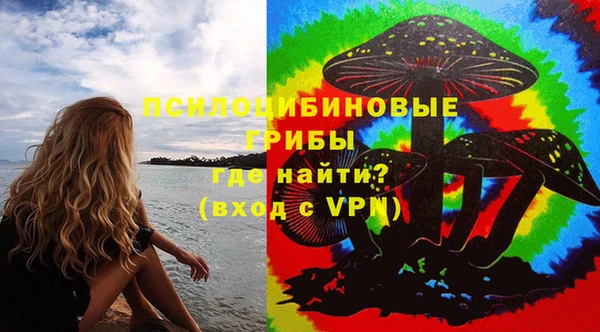 соль курить ск Дмитриев