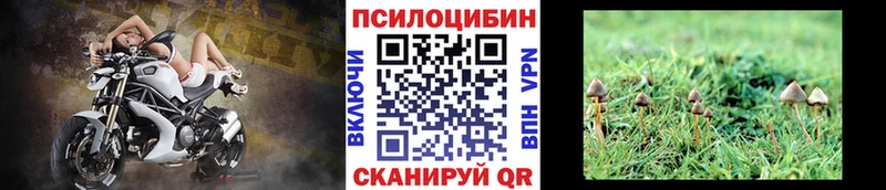 Псилоцибиновые грибы прущие грибы  Купить закладки  Барыш 